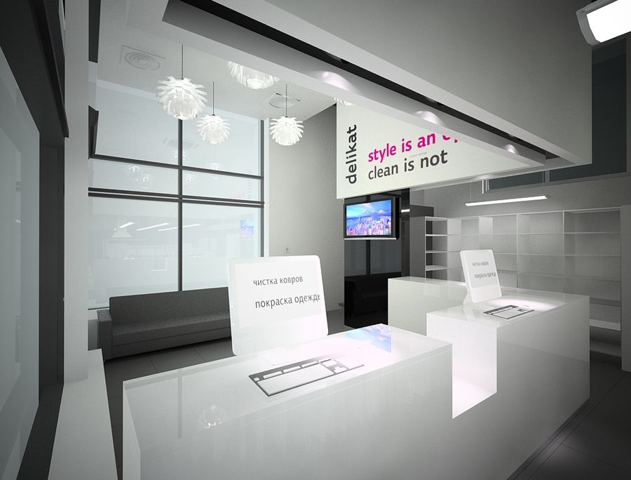 Dry Cleaning Service "Delikat"
