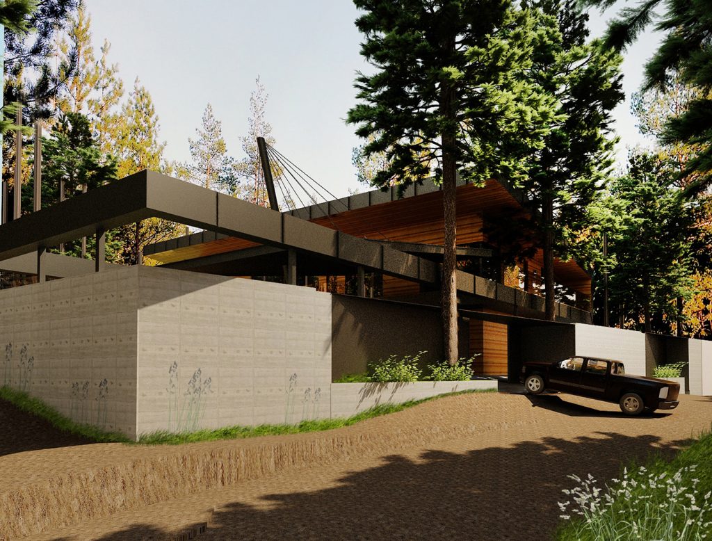 Pine Forest House