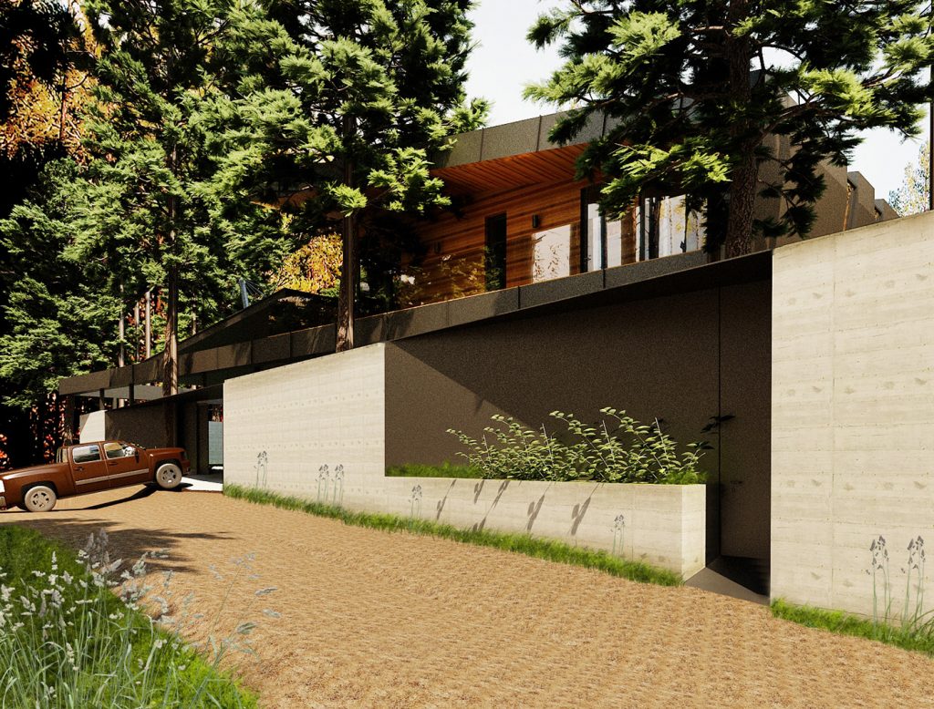 Pine Forest House