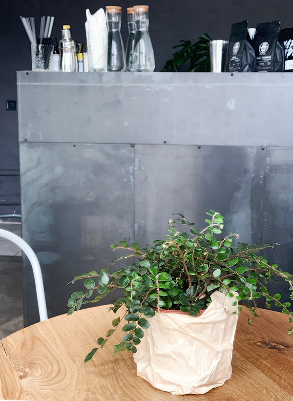 Coffee shop design
